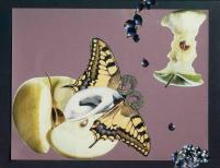 Aube Elléouët, Fragrante délices, 1987 ca. collage su carta, fermaglio per capelli, cm 56,5x75,5