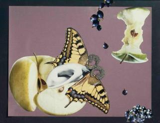Aube Elléouët, Fragrante délices, 1987 ca. collage su carta, fermaglio per capelli, cm 56,5x75,5