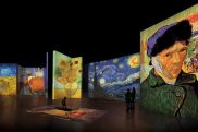Van Gogh Alive: arriva a Roma la mostra multimediale dedicata al grande artista olandese